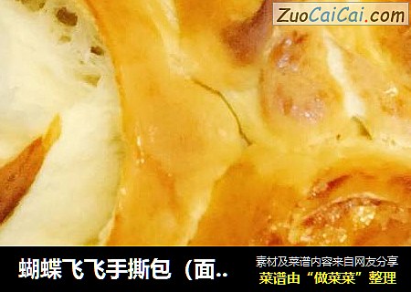 蝴蝶飞飞手撕包（面包机版）--土豆滴回归！