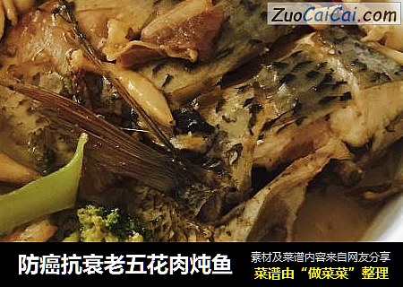 防癌抗衰老五花肉炖鱼