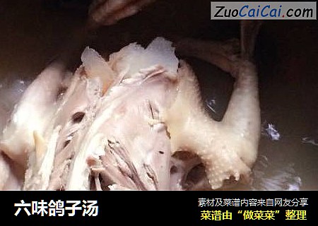 六味鸽子汤