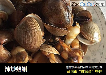 辣炒蛤蜊