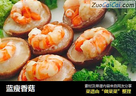 蓝瘦香菇