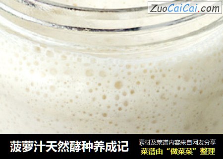 菠萝汁天然酵种养成记