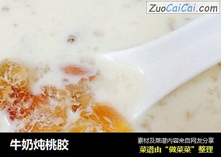 牛奶炖桃胶