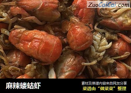 麻辣蝼蛄虾