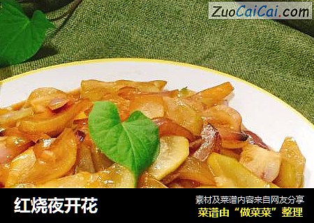 红烧夜开花