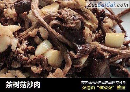茶树菇炒肉