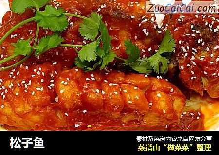 松子鱼