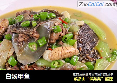 白汤甲鱼