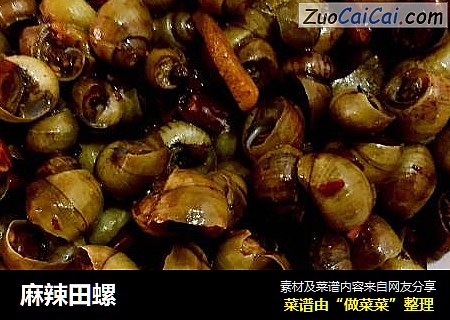 麻辣田螺