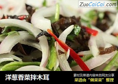 洋葱香菜拌木耳