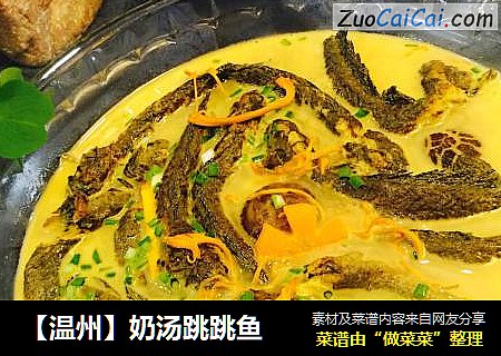 【温州】奶汤跳跳鱼