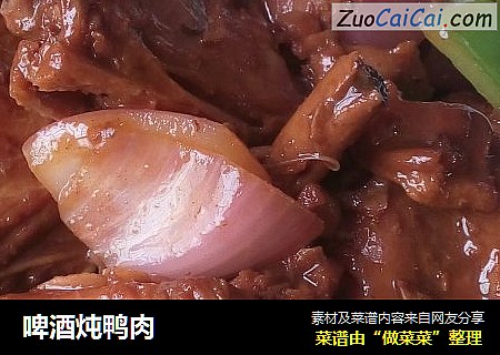 啤酒炖鸭肉