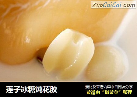 莲子冰糖炖花胶