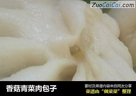 香菇青菜肉包子