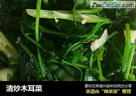 清炒木耳菜
