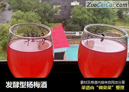 发酵型杨梅酒
