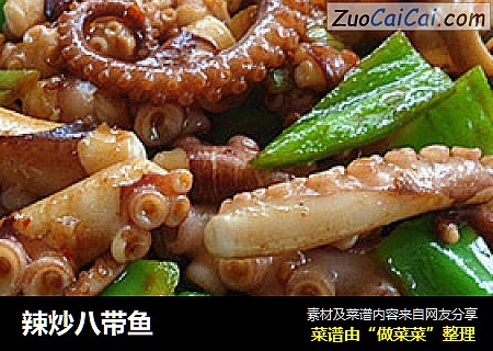辣炒八带鱼