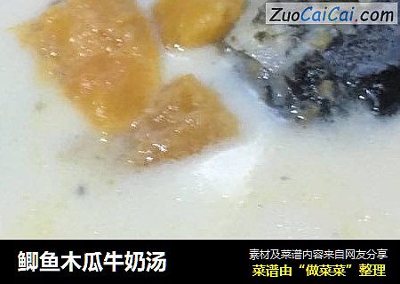鲫鱼木瓜牛奶汤