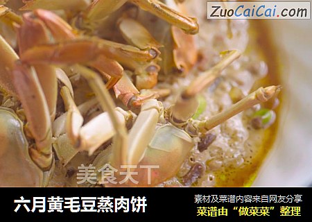 六月黄毛豆蒸肉饼