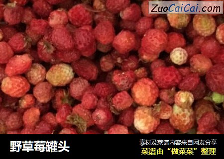 野草莓罐头