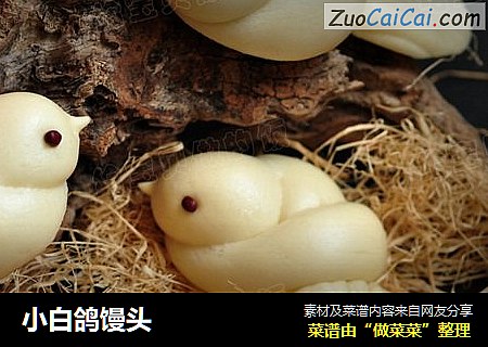 小白鸽馒头