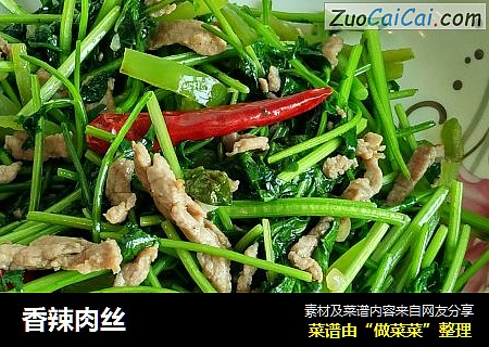 香辣肉丝