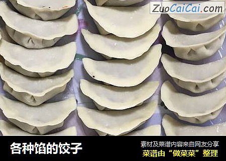 各种馅的饺子
