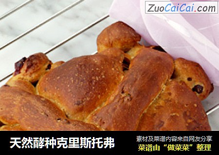 天然酵种克里斯托弗
