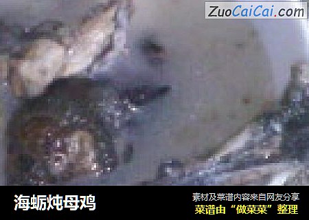 海蛎炖母鸡