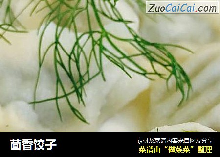 茴香饺子