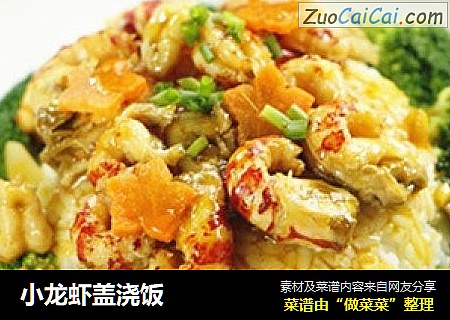 小龙虾盖浇饭
