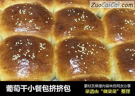 葡萄干小餐包挤挤包
