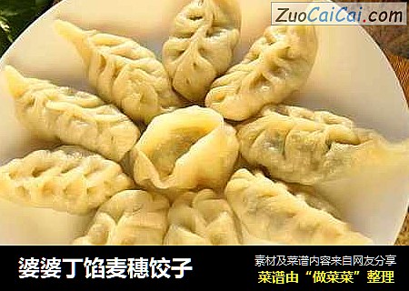 婆婆丁馅麦穗饺子