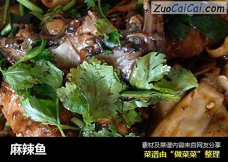麻辣鱼