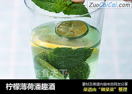 柠檬薄荷潘趣酒