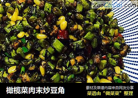 橄榄菜肉末炒豆角