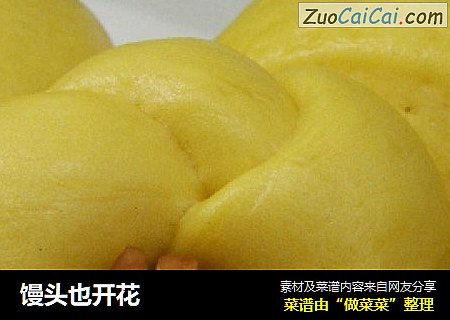 馒头也开花