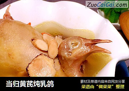 当归黄芪炖乳鸽