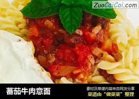 蕃茄牛肉意面
