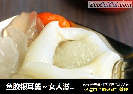 鱼胶银耳羹～女人滋补佳品