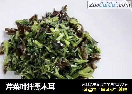 芹菜叶拌黑木耳