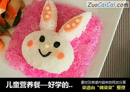 儿童营养餐—好学的波耳兔