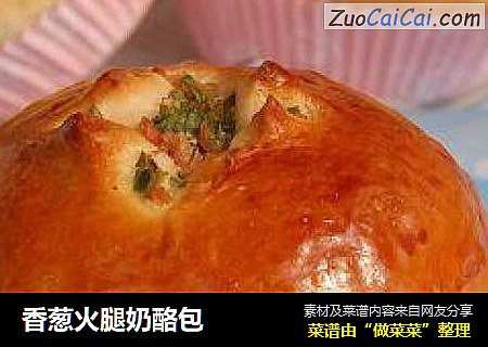 香葱火腿奶酪包