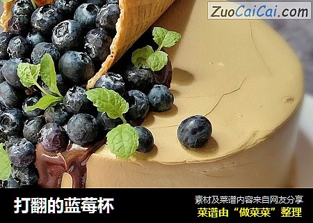打翻的蓝莓杯