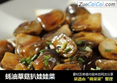 蚝油草菇扒娃娃菜