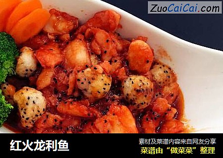 红火龙利鱼