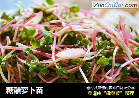 糖醋萝卜苗