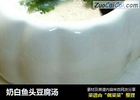 奶白鱼头豆腐汤