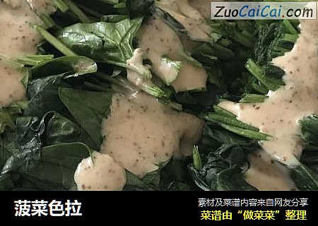 菠菜色拉