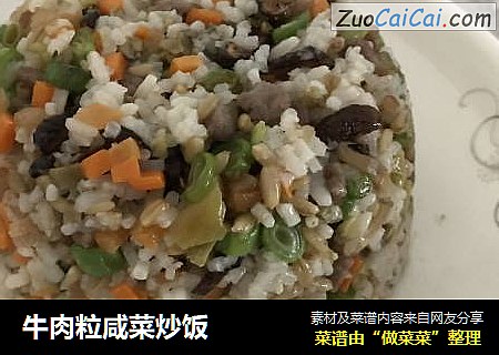牛肉粒咸菜炒饭